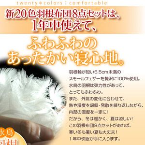 �V20�F�H���z�c8�_�Z�b�g �a�^�C�v�E�V���O���@�ӂ��肠������
